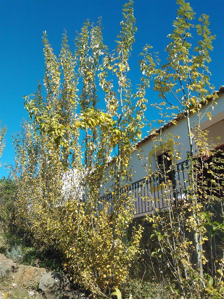 Casas Do Palheiro Velho Guest House คาสโตรมาริม ภายนอก รูปภาพ